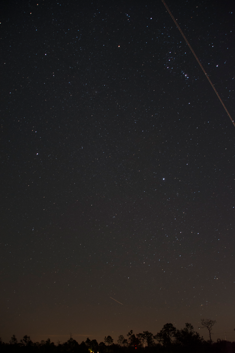 Illustration for article titled An Idiot's Guide To Star Trails